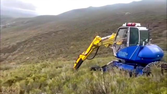 Retroaraña trabajando en Muelas de los Caballeros