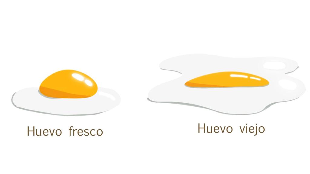 Huevo fresco y viejo
