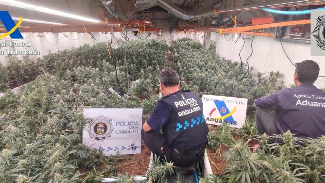 Foto: Agencia Tributaria