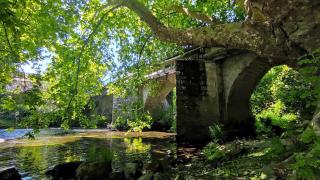El río Umia a su paso por Ponte Arnelas.