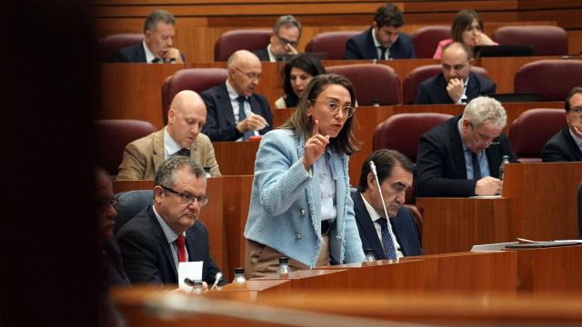 La consejera de Movilidad y Transformación Digital, María González Corral, durante su intervención en el pleno de las Cortes de este jueves