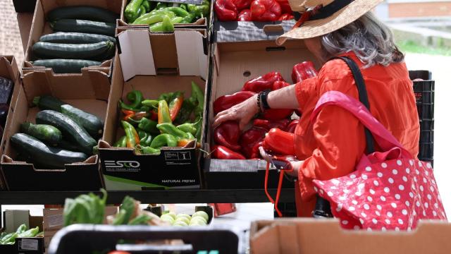 Cajas de hortalizas en un mercado de la Comunidad de Madrid.