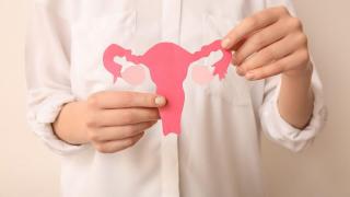 Lo que necesitas saber de la menopausia