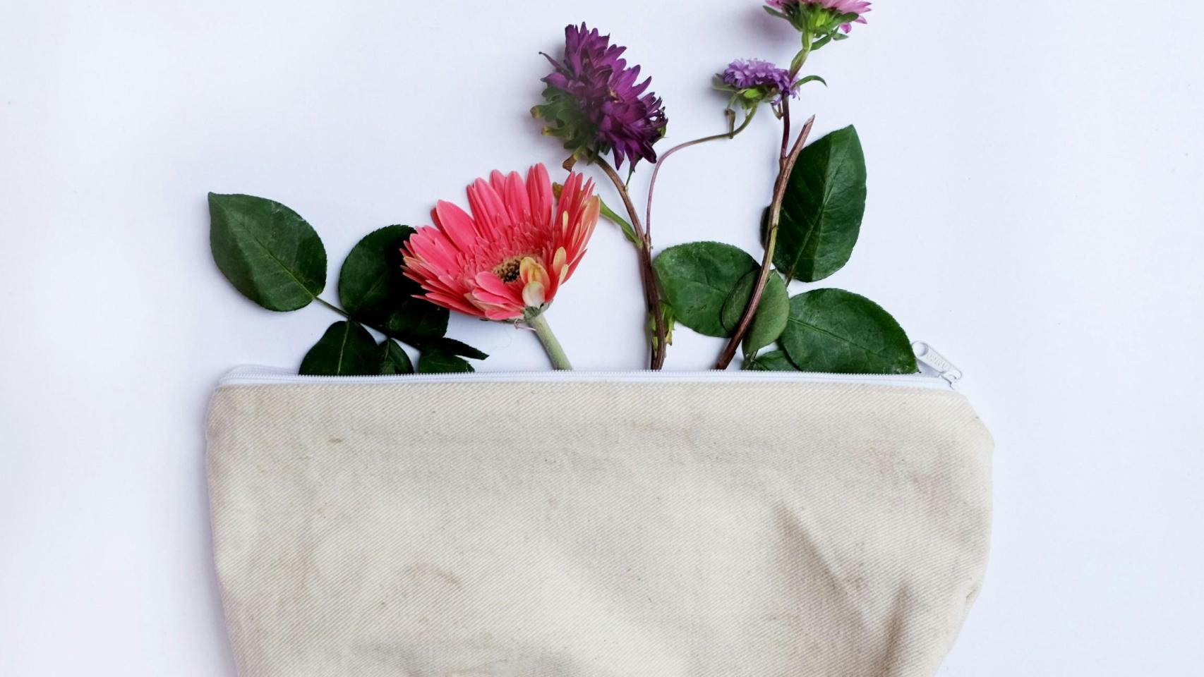 ika-dam-4sd8uKS3nM0-unsplash