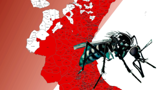 Diseño sin título (1)