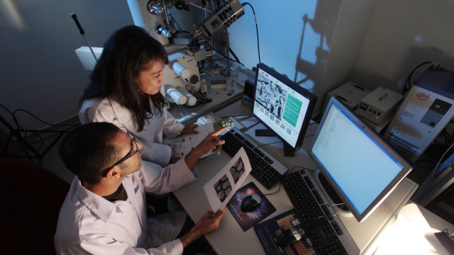 La innovación, la investigación y la tecnología, claves para cualquier territorio.