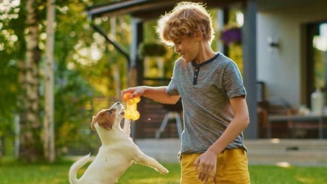 4 chollazos de la Promo de Verano de AliExpres: cupones de descuento, ofertones y mucho más