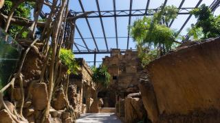 La nueva pirámide maya y la zona del aviario de Bioparc Fuengirola.