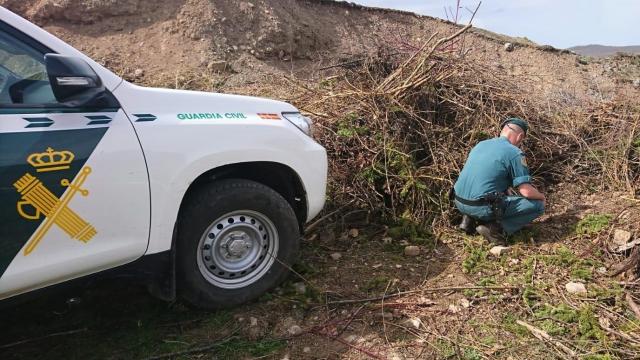 Imagen de archivo de un agente del Seprona de León, sin relación con estos hechos.