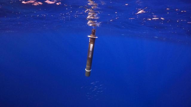 Flotador InfinitiTE en una inmersión de prueba