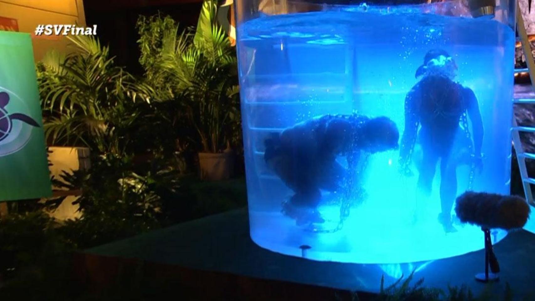 La prueba de El Yugo de Poseidón, en la final de 'Supervivientes'.