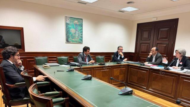 Un momento de la reunión entre los diputados de Vox José María Figaredo y Ricardo Chamorro con los representantes del Grupo Español de Materia Primas Estratégicas/Críticas y con la empresa Quantum Minería