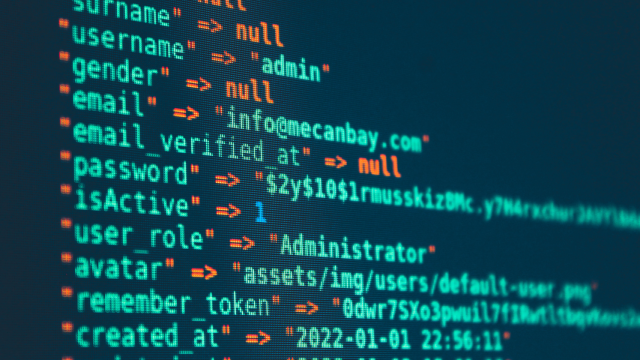 La programación es uno de los aspectos tecnológicos más apreciados en los equipos tecnológicos de cualquier empresa.