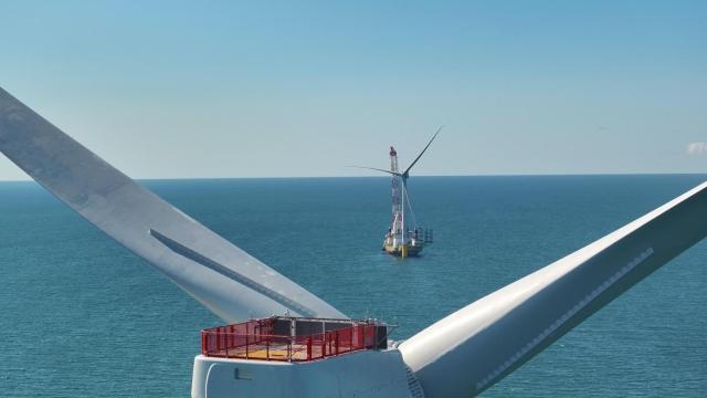 Parque eólico marino de Iberdrola.
