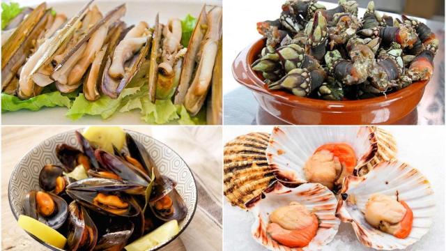 Fiestas gastronómicas en Galicia.