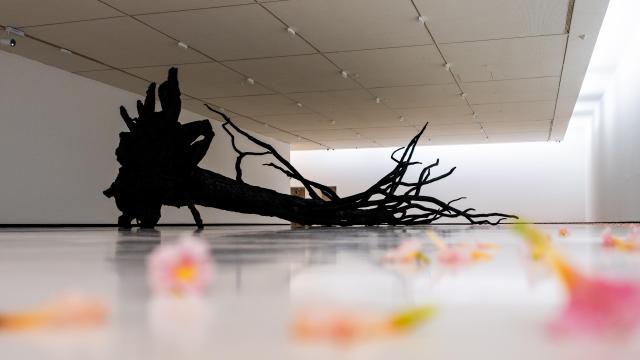 Allora & Calzadilla: 'Entelechy', 2020. Foto: Azkuna Zentroa - Alhóndiga Bilbao