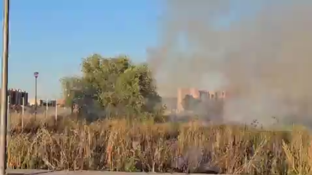 Imágenes de uno de los dos incendios declarados en Ávila este lunes 24 de junio