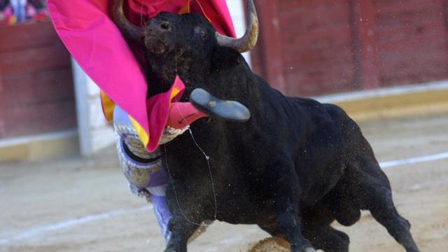 Aparatosa cogida en la feria de San Pedro en Zamora