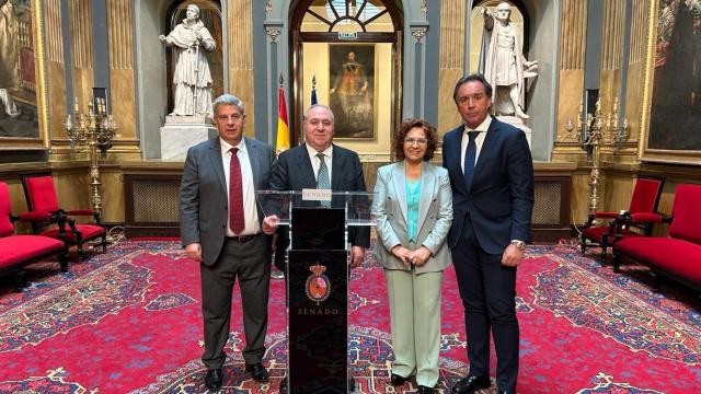 Riolobos defenderá una moción en el Senado sobre el calendario de ejecución del AVE de Talavera