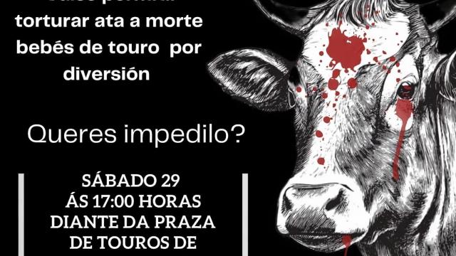 Denuncian una becerrada en Pontevedra.