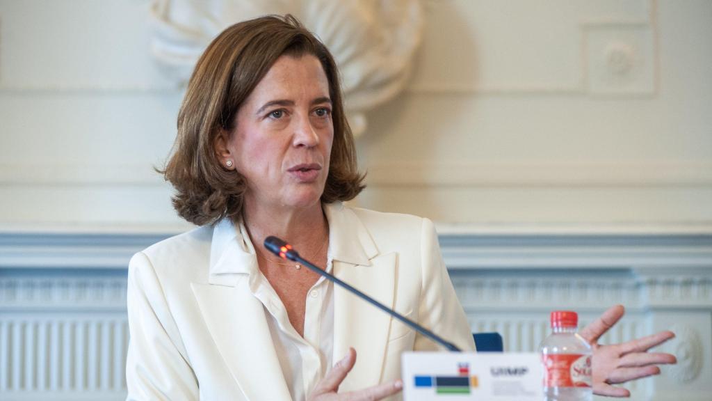 Alejandra Kindelán, presidenta de la AEB, durante un Seminario de Apie.