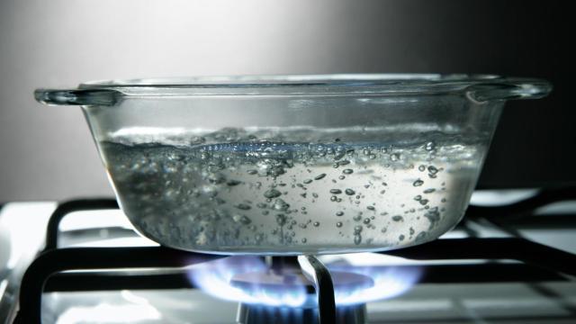 Así se usan las ollas de vidrio que se han puesto de moda para cocinar sin tóxicos