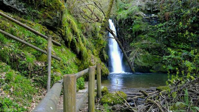 Seimeiras do Queixoiro