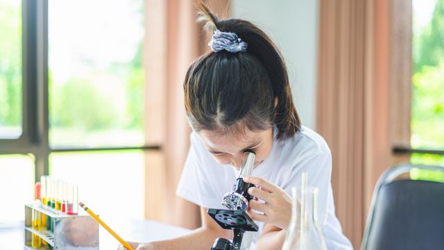 La UA celebra el verano de experimentos científicos con la  participación de 300 jóvenes