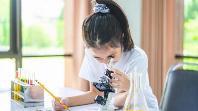 La UA celebra el verano de experimentos científicos con la  participación de 300 jóvenes
