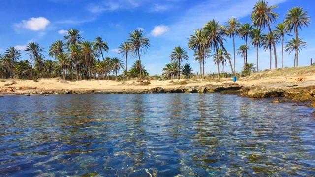 La Cala Ferris de Torrevieja.