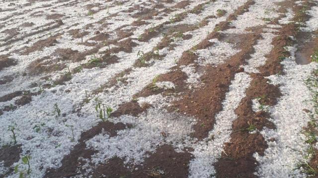 Así fue la tormenta de granizo que arreció en San Vitero y San Cristóbal de Aliste