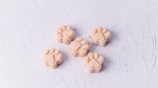 ¿Helados para perros? Así es la marca artesanal que piensa en las 'mascotas gourmet'