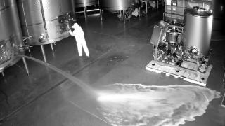 Detienen a una mujer por el delito en la Bodega Cepa 21 en Ribera de Duero: causó pérdidas millonarias