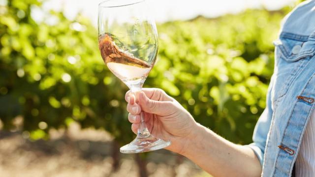 Unzu, la novedad estival que reivindica el vino rosado