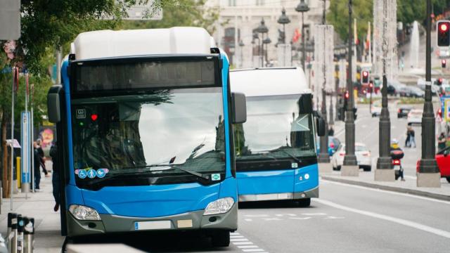 Los autobuses de Madrid.
