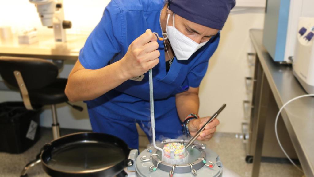 Un trabajadora del laboratorio de tratamientos de fertilidad del Instituto Bernabéu en Madrid.