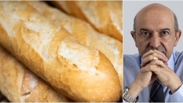 El catedrático de Medicina Preventiva Miguel Ángel Martínez-González.