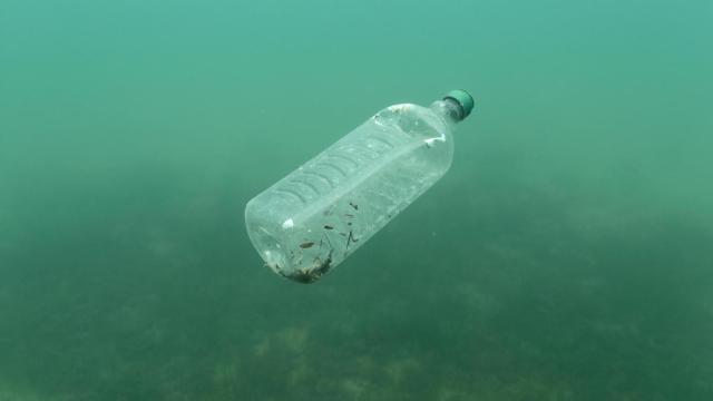 Una botella de plástico bajo el agua del mar.
