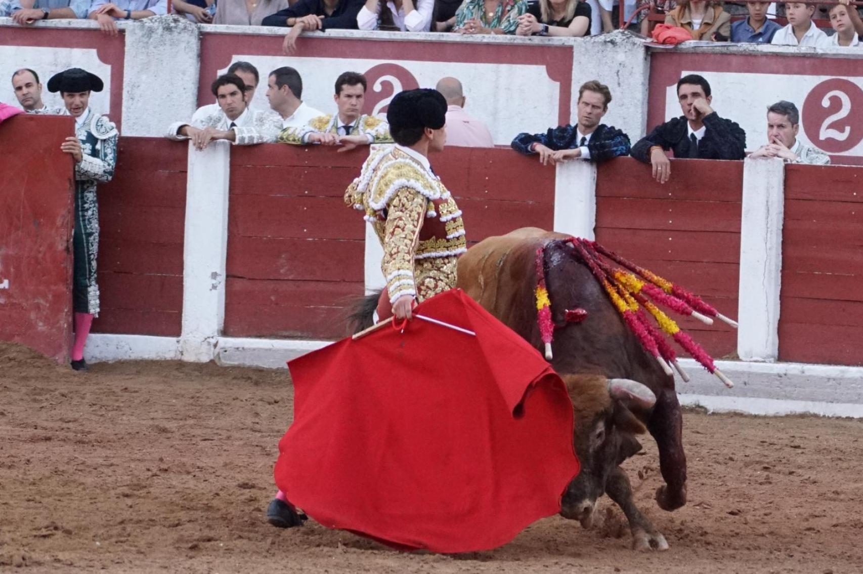 Elegancia clásica y arte en Ginés Marín