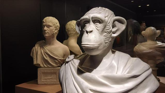 La exposición de la colección de Candela Soldevila se combina con la permanente del Mubag.