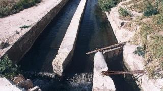 El sistema de regadío tradicional de Elche.
