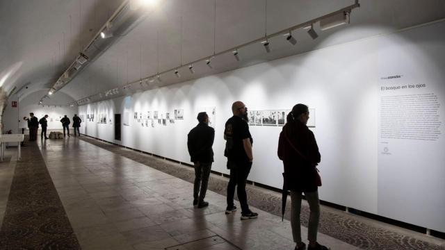 Imagen de la exposición de Juan Millás en Valladolid