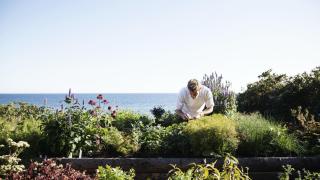 El restaurante danés con dos estrellas Michelin que abre los meses de verano en una isla del mar Báltico