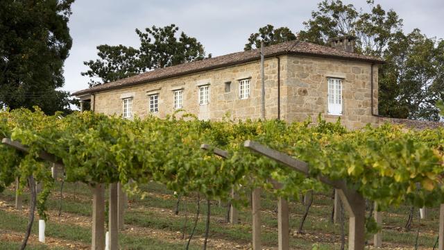 Los exteriores de la bodega Pazo San Mauro, en Salvaterra de Miño (Pontevedra).