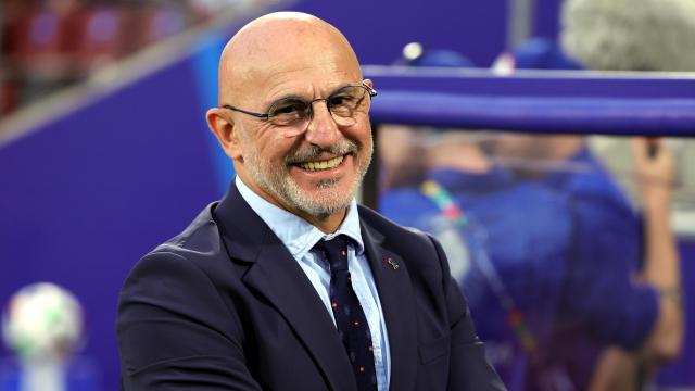 Luis de la Fuente, en la Eurocopa