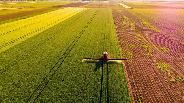 Agricultura.