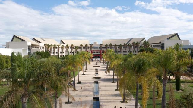 La Universidad de Alicante.