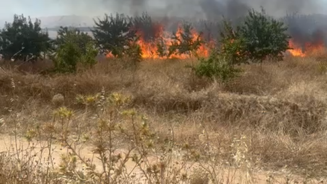 Incendio en Burguillos de Toledo