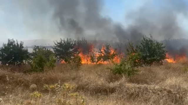Incendio en Burguillos de Toledo
