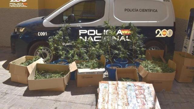 Detenido un clan familiar dedicado al cultivo 'indoor' de marihuana en Puertollano